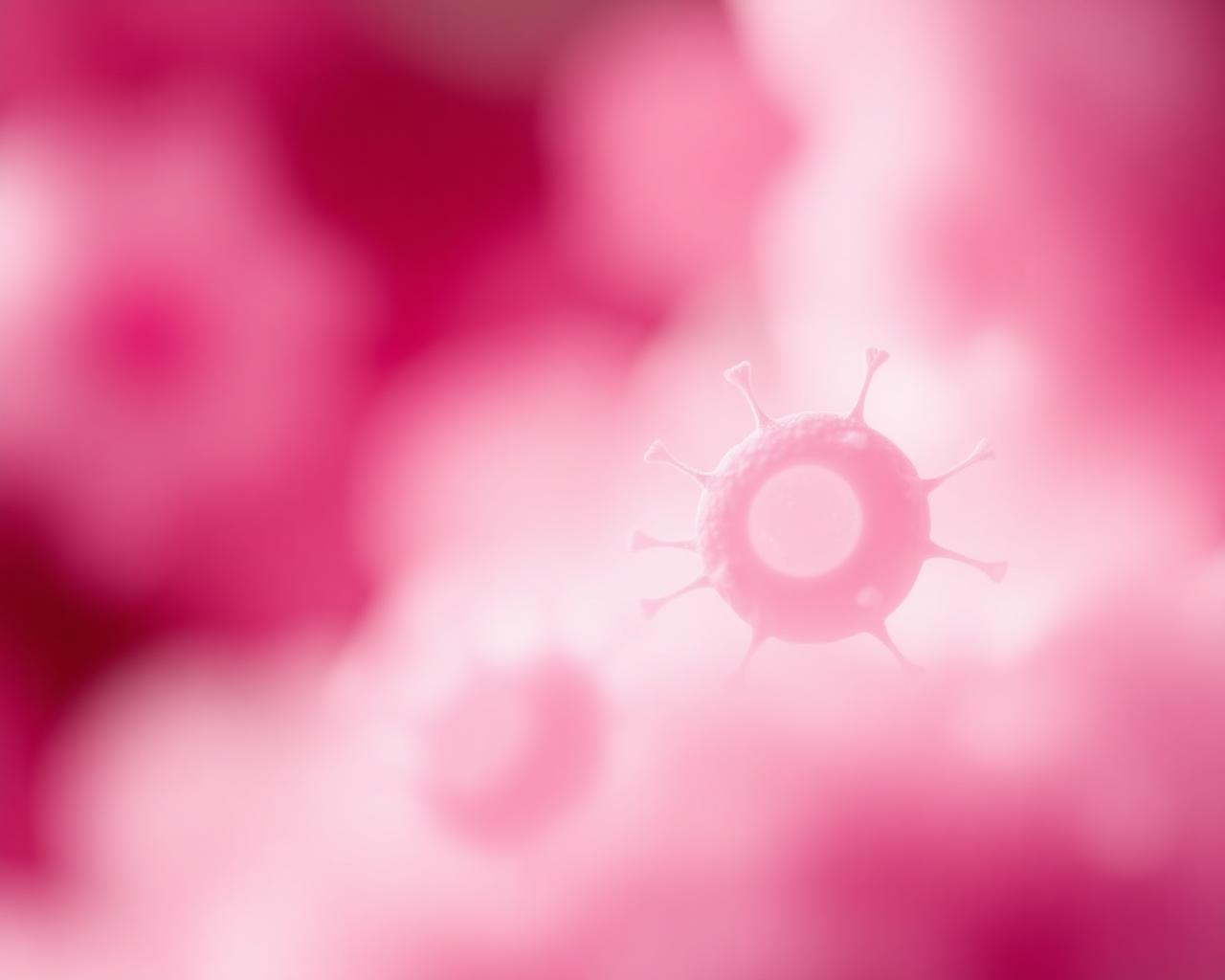 Soft abstract artistic visualization of cells in pink hues